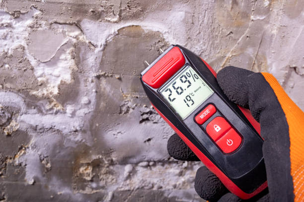 Best Localized Mold Remediation (e.g., coastal areas, humid climates) in The Colony, TX